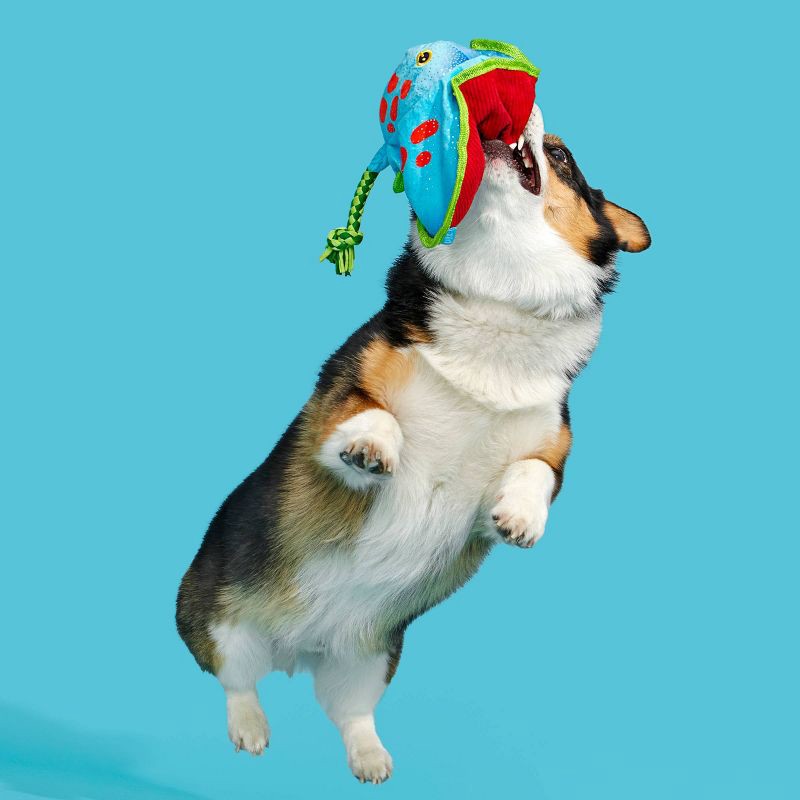 slide 6 of 7, BARK Manny Ray Under the Seams Dog Toy - Blue/Red/Green, 1 ct