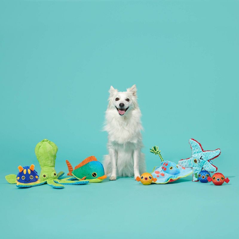 slide 7 of 7, BARK Manny Ray Under the Seams Dog Toy - Blue/Red/Green, 1 ct