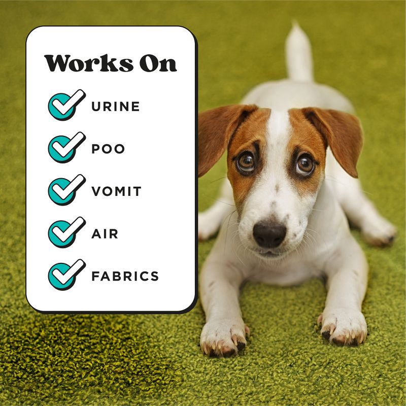 slide 6 of 11, Pet-Pourri Pet Odor Refresher Pawsitivly Fresh Scented Air Freshener - 16 fl oz, 16 fl oz