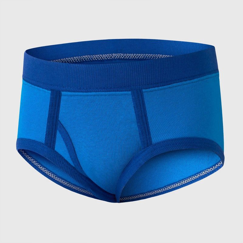 slide 4 of 5, Hanes Toddler Boys' 10pk Briefs - Blue 4T: 100% Cotton, Tagless, Full Waistband Elastic, Machine Washable, Breathable Fabric, 10 ct