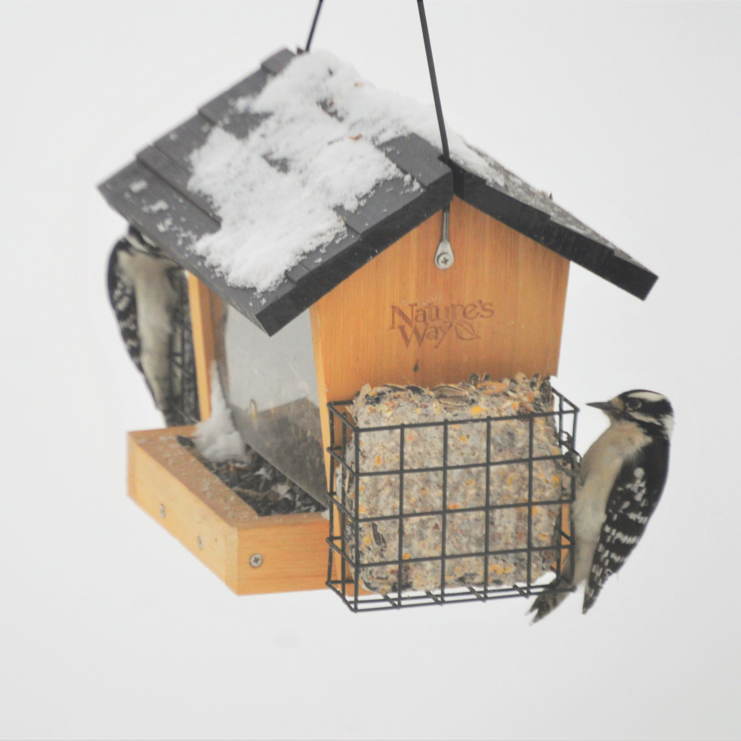slide 3 of 5, Nature's Way Cedar - 3QT Hopper bird feeder w/suet, 3 qt