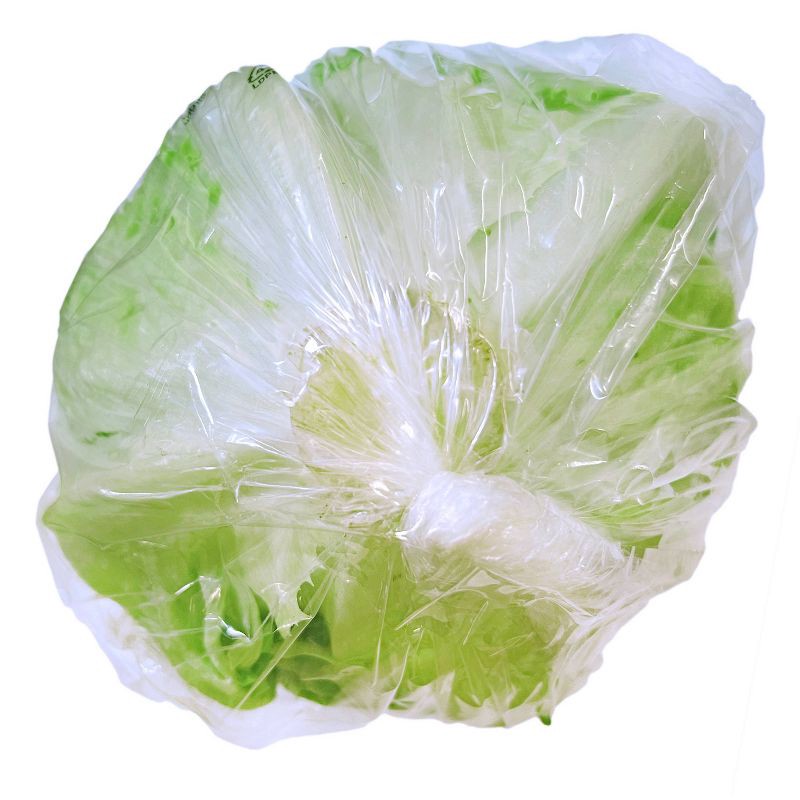 slide 2 of 4, Organic Iceberg Lettuce - each, 1 ct