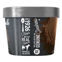slide 15 of 21, Hudsonville Ice Cream Chocolate, 48 fl oz