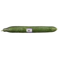 Fresh Organic English Cucumber - Each