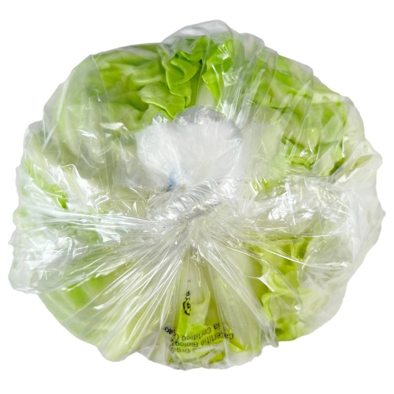 slide 2 of 4, Fresh Organic Green Cabbage - each, 1 ct