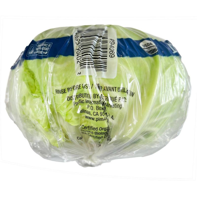 slide 3 of 4, Fresh Organic Green Cabbage - each, 1 ct