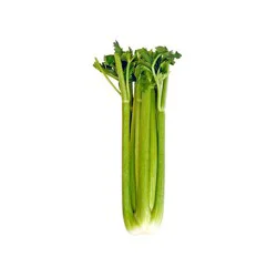 Fresh Organic Celery - each