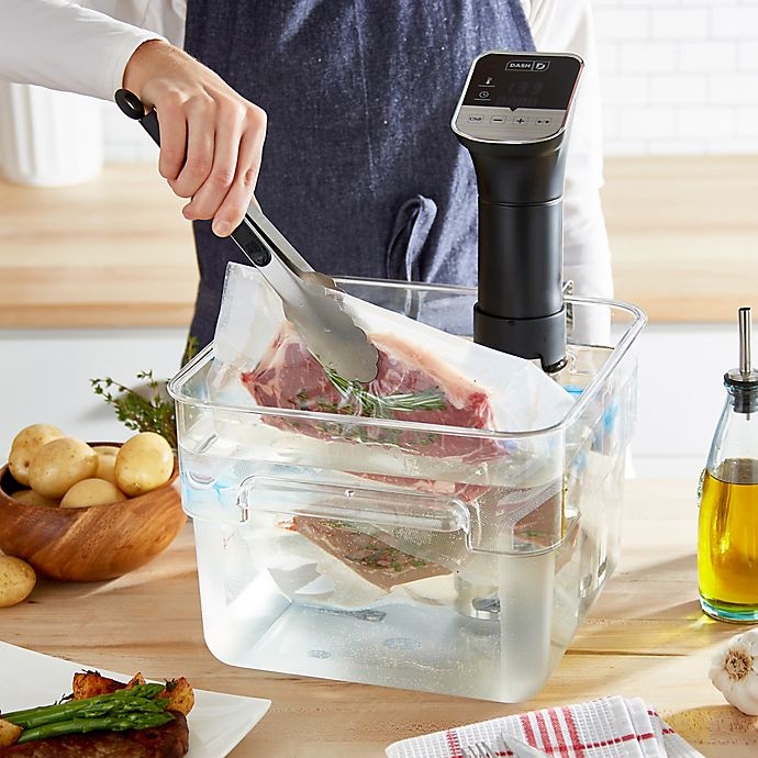 slide 3 of 9, Dash Chef Series Stainless Steel Sous Vide Circulator with Chill, 1 ct