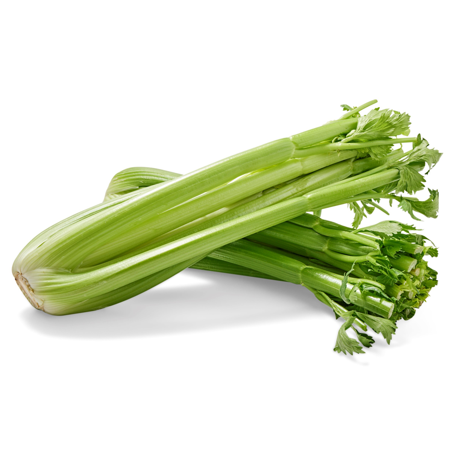 slide 2 of 2, Fresh Pascal Celery, organic, 1 ct