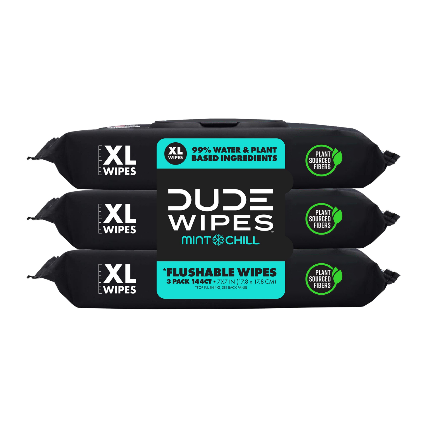 slide 1 of 5, DUDE Chill Mint Flushable Wipes XL 3 - 48 Wipe Packs, 3 ct
