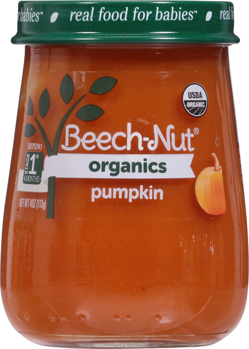 slide 9 of 9, Beech-Nut Organics Stage 1 (4 Months+) Pumpkin 4 oz, 4 oz