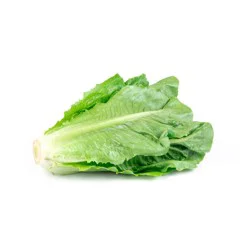 Fresh Organic Romaine Hearts - 12oz/3ct