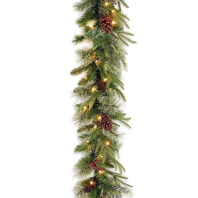 slide 1 of 2, National Tree Company Colonial Pre-Lit Garland with Color Changing LED Lights, 9 ft