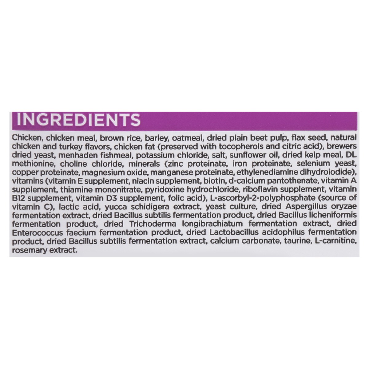 slide 14 of 15, NutriSource Large Breed Puppy with Wholesome Grain Chicken & Rice Recipe Dog Food 26 lb, 26 lb