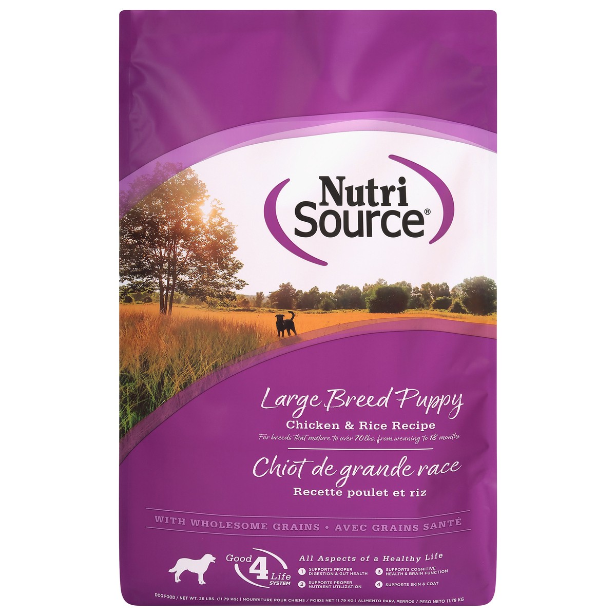 slide 12 of 15, NutriSource Large Breed Puppy with Wholesome Grain Chicken & Rice Recipe Dog Food 26 lb, 26 lb