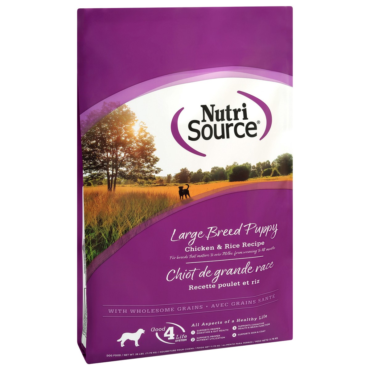 slide 2 of 15, NutriSource Large Breed Puppy with Wholesome Grain Chicken & Rice Recipe Dog Food 26 lb, 26 lb