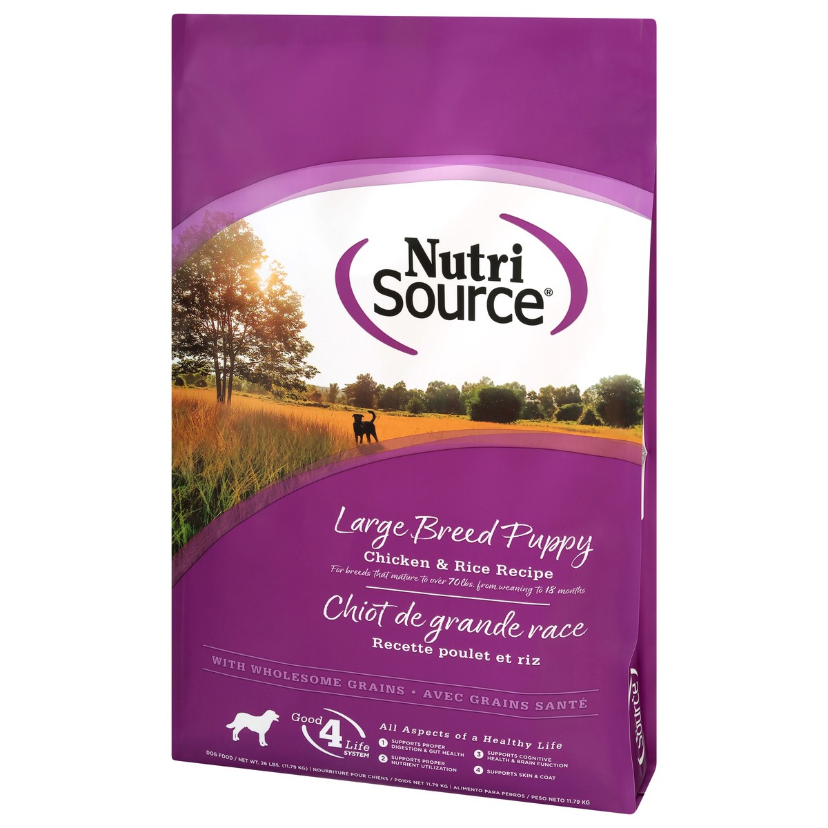 slide 15 of 15, NutriSource Large Breed Puppy with Wholesome Grain Chicken & Rice Recipe Dog Food 26 lb, 26 lb