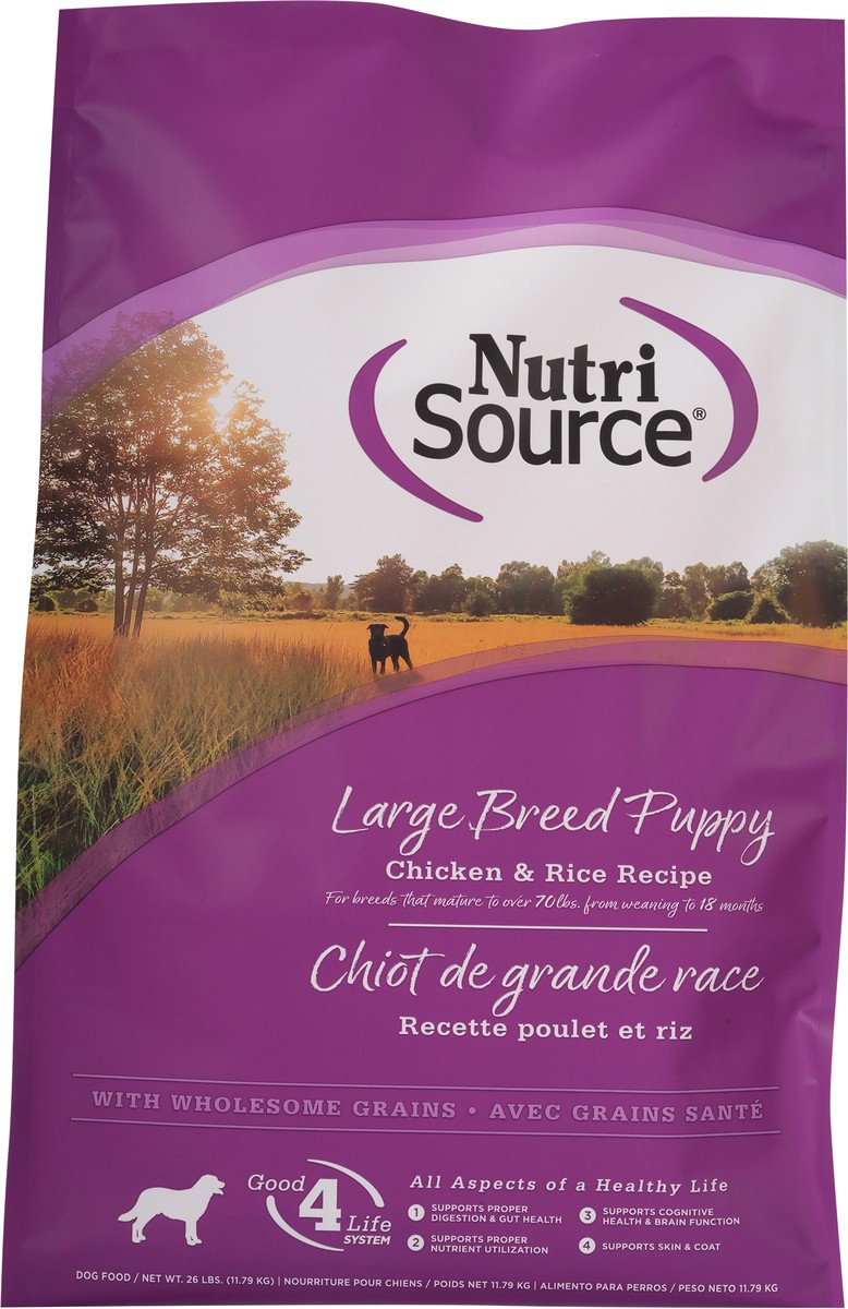 slide 3 of 15, NutriSource Large Breed Puppy with Wholesome Grain Chicken & Rice Recipe Dog Food 26 lb, 26 lb