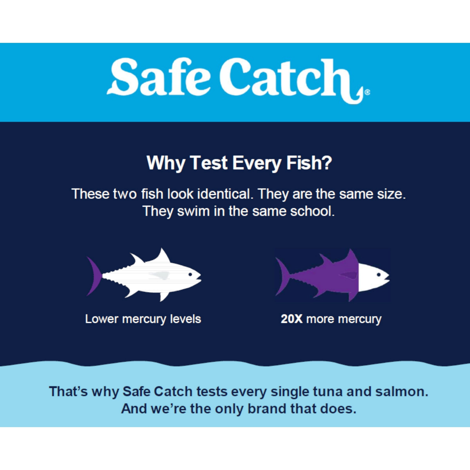 slide 7 of 8, Safe Catch Wild Skinless & Boneless Pacific Pink Salmon 5 oz, 5 oz