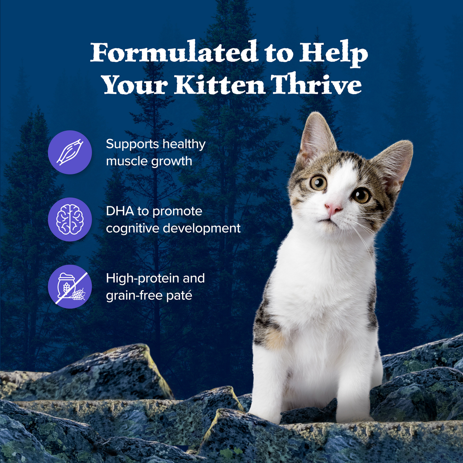 slide 4 of 8, Blue Buffalo Blue Wilderness Grain Free Formula Chicken Recipe Food for Kittens 3 oz, 3 oz