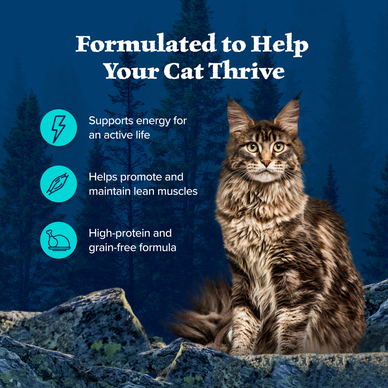 slide 4 of 8, BLUE BUFFALO Wilderness Wild Delights Grain Free, Natural Adult Wet Cat Food, Chicken & Trout 3-oz can, 1 ct