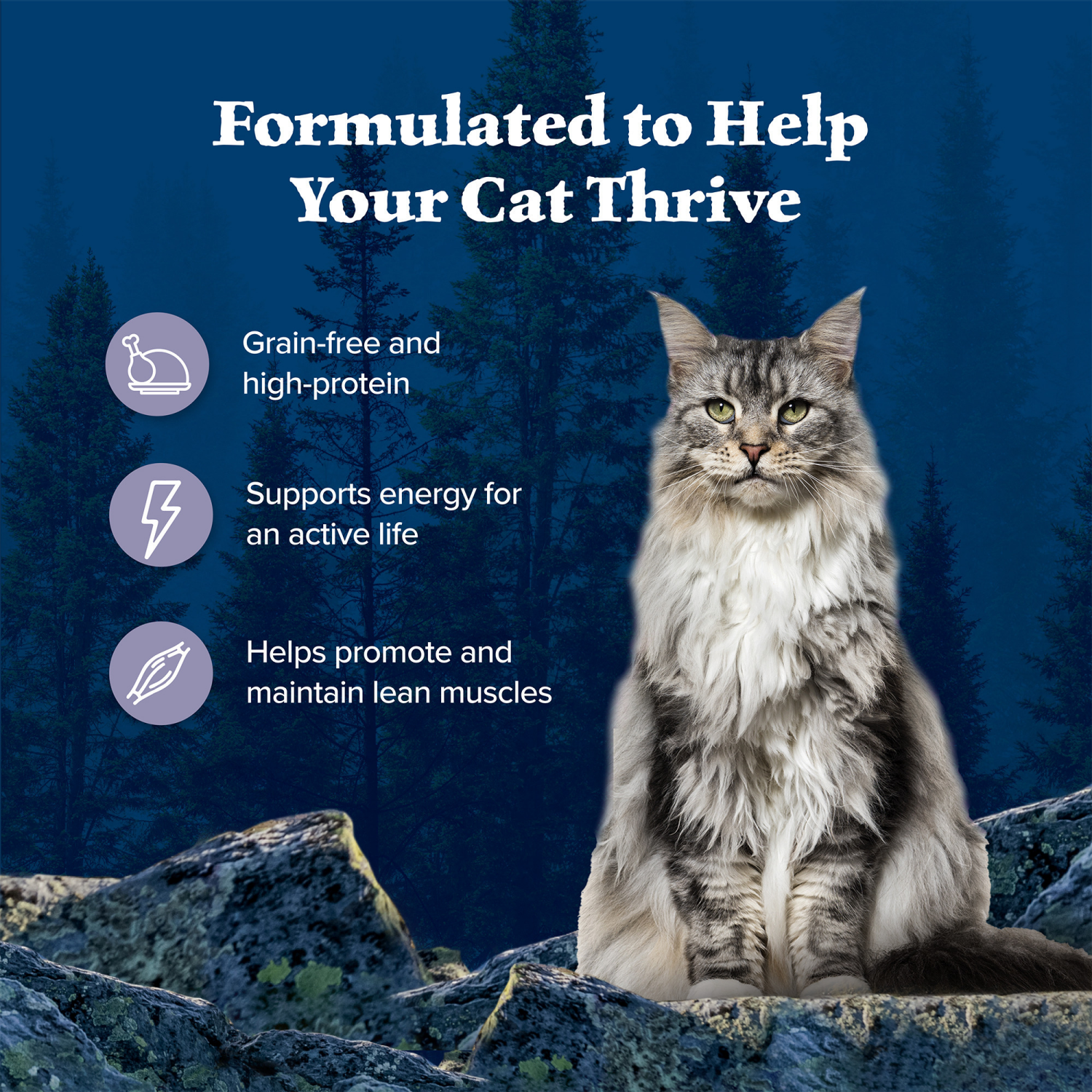 slide 4 of 8, Blue Wilderness Blue Buffalo Wilderness Grain Free Natural Adult Pate Wet Cat Food, Chicken 5-oz can, 5.5 oz