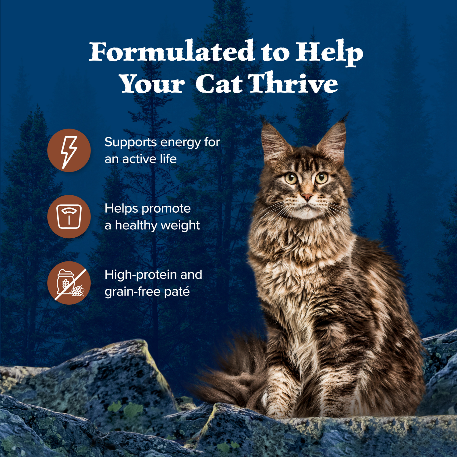 slide 4 of 8, Blue Buffalo 100% Grain Free Turkey Recipe Food for Cats 5.5 oz, 5.5 oz