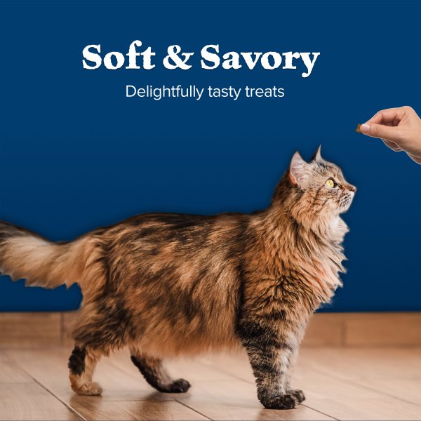 slide 20 of 29, BLUE BUFFALO Wilderness Grain Free Soft-Moist Cat Treats, Chicken & Trout, 2 oz