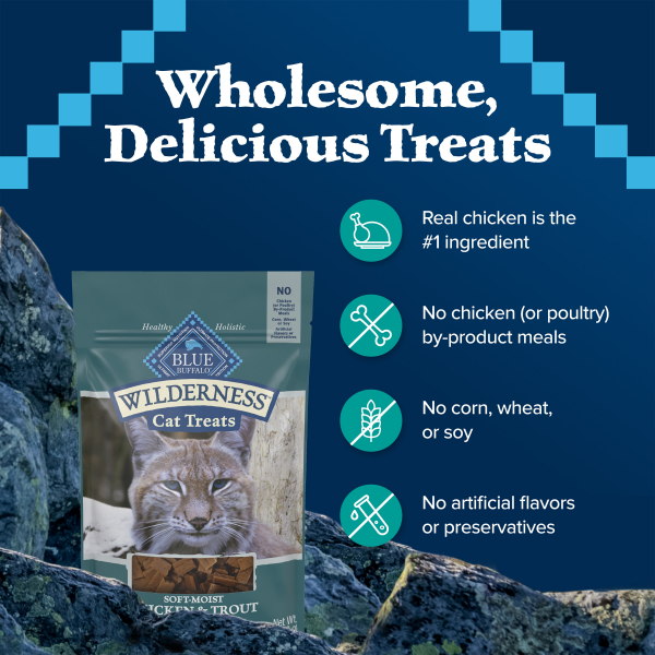slide 24 of 29, BLUE BUFFALO Wilderness Grain Free Soft-Moist Cat Treats, Chicken & Trout, 2 oz