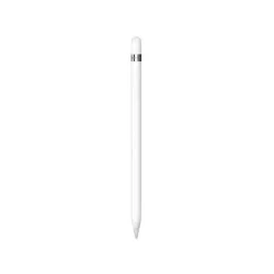 Apple Pencil with USB-C Adapter (2022, 1st Generation)