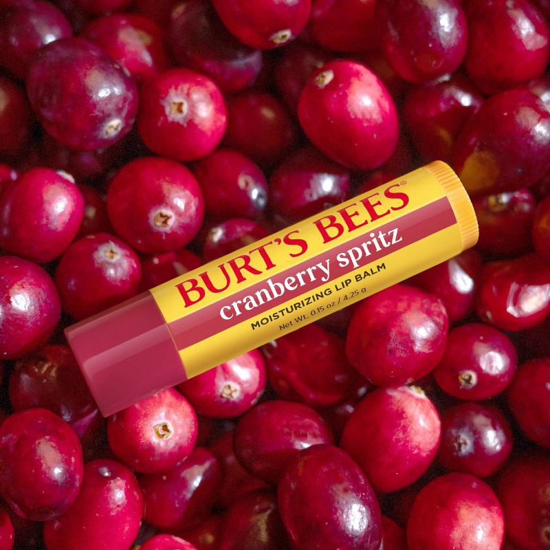 slide 7 of 9, Burt's Bees Holiday Limited Edition Stocking Stuffer Moisturizing Lip Balm - Cranberry Spritz - 0.15oz, 0.15 oz