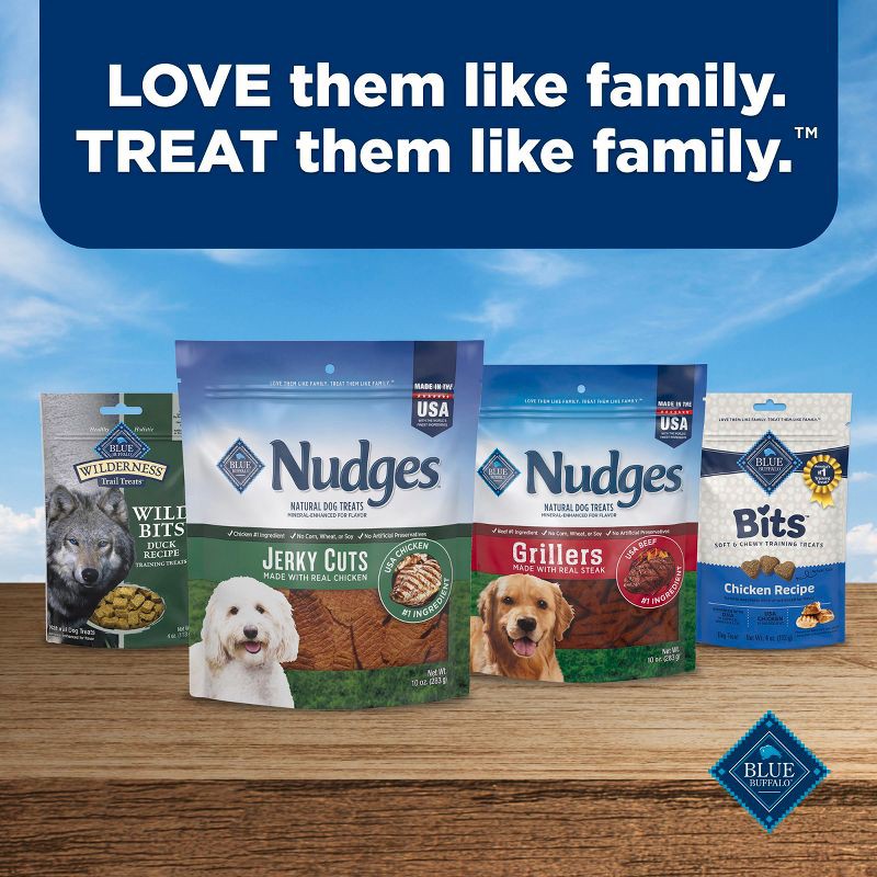 slide 8 of 10, Nudges Blue Buffalo Jerky Cuts Natural Dog Treats with Chicken - 16oz, 16 oz