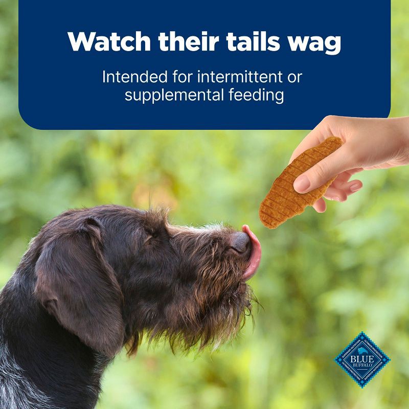 slide 9 of 10, Nudges Blue Buffalo Jerky Cuts Natural Dog Treats with Chicken - 16oz, 16 oz