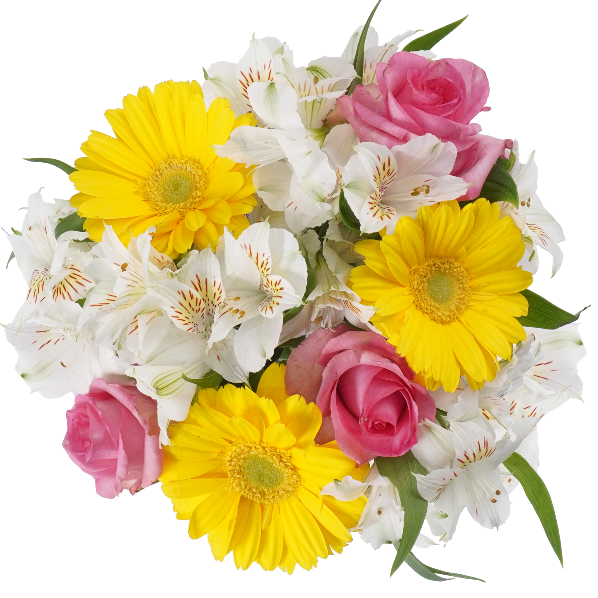 slide 1 of 1, Fall Inspiration, 1 ct