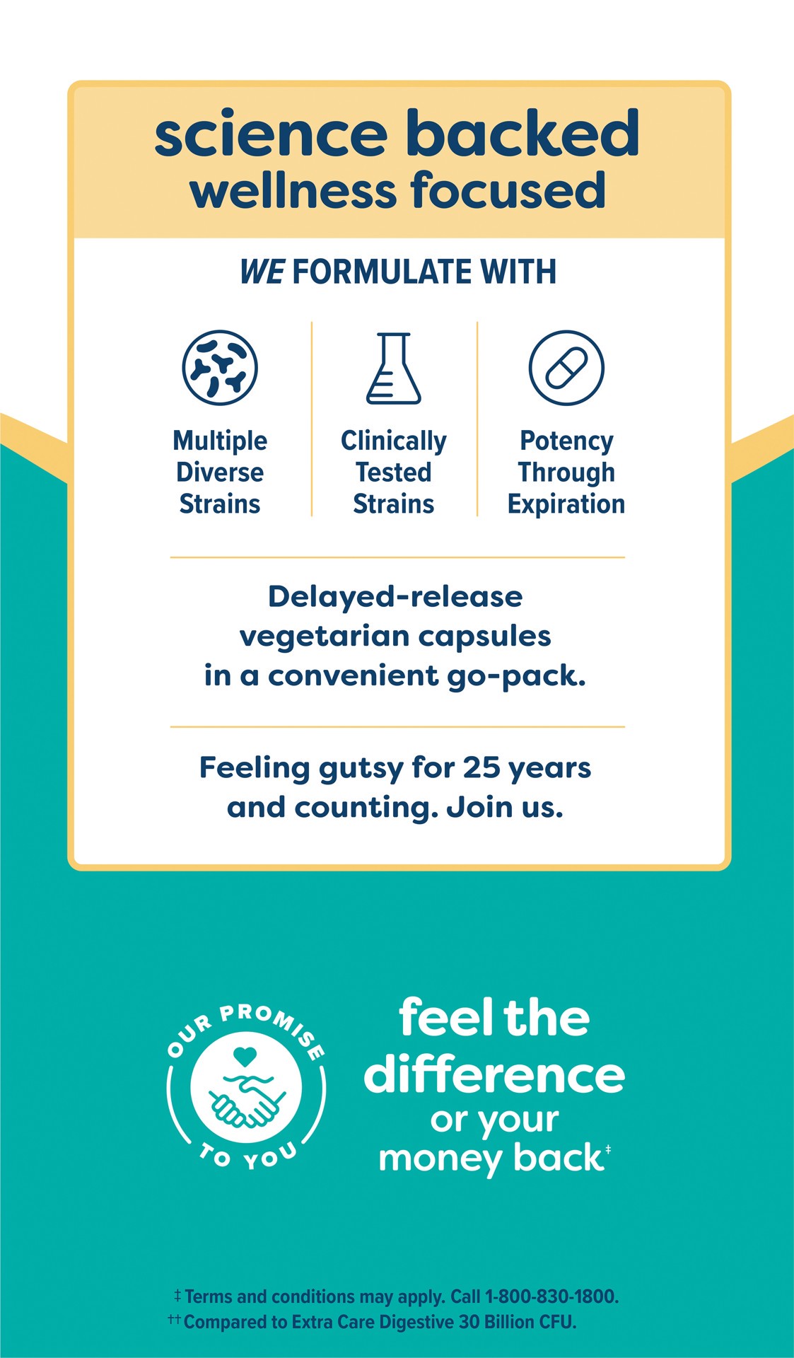 slide 4 of 5, Renew Life Adult Extra Care Digestive* Probiotic, 50 Billion CFU Per Capsule Guaranteed, 12 Strains, Potent Shelf Stable Probiotic; Gluten, Dairy, Soy Free; 60 Capsules, 60 ct