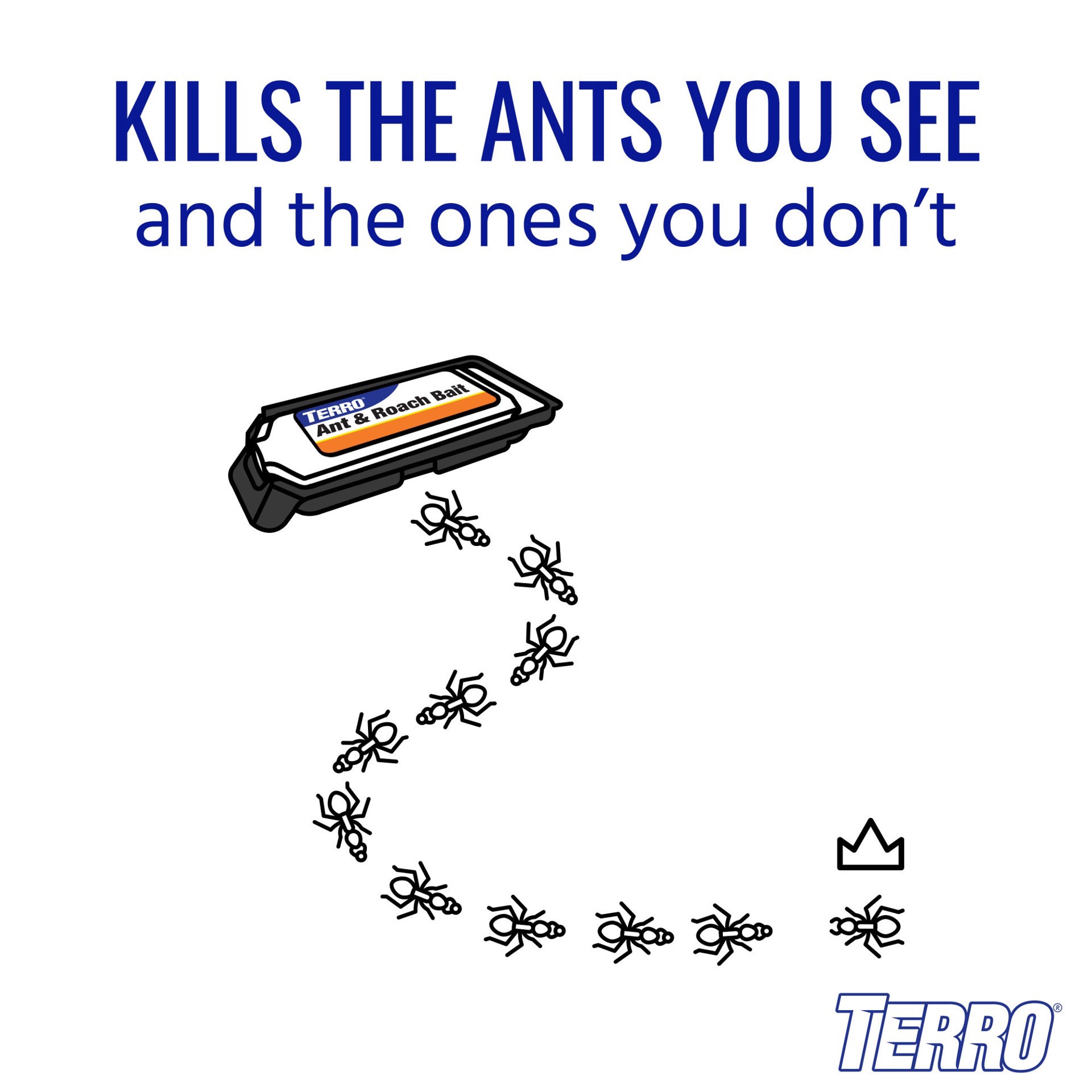 slide 3 of 6, TERRO Ant Roach Baits, 4 ct