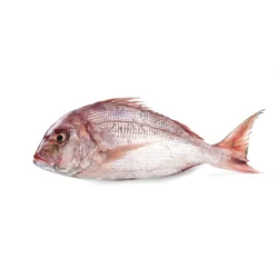 Whole Wild Caught Porgy