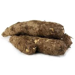Malanga Root, Each