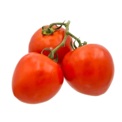 Red Vine Ripe, Regular Tomatoes, Small