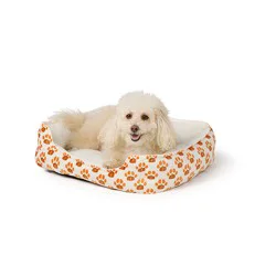 Pet Halloween Thrills & Chills® Cuddler Pumpkin Paws Spooky Cuddler Bed - Orange, White & Green