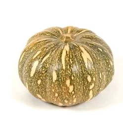 Calabasa Squash, Each
