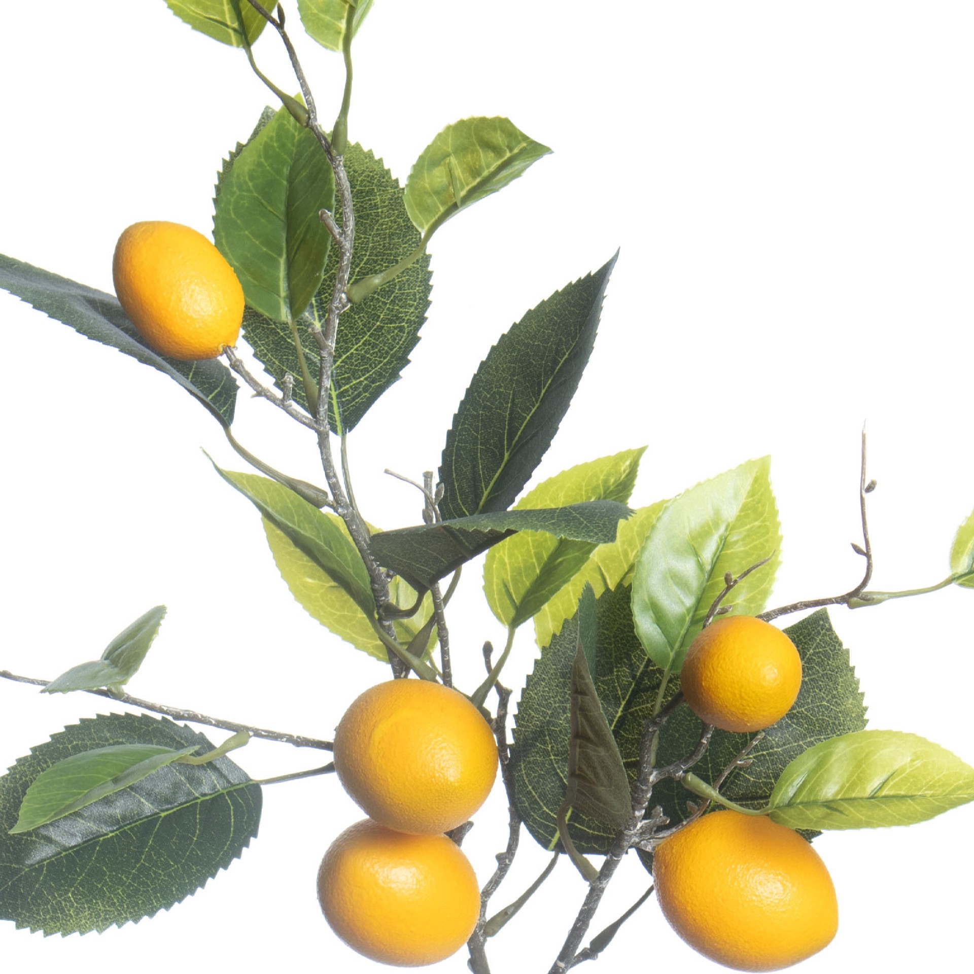 slide 2 of 3, 31" Lemon Branch By Ashland, 31 in