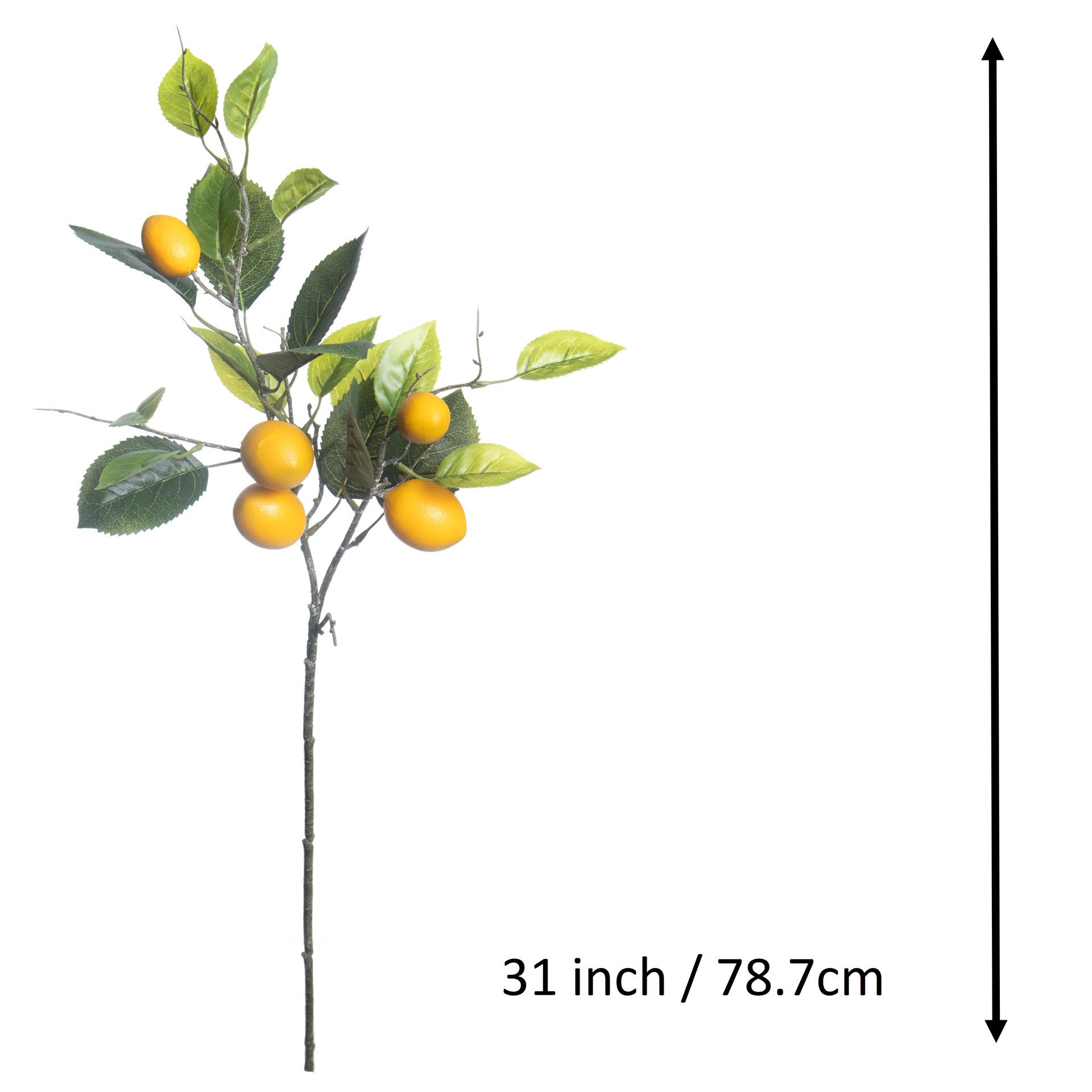 slide 3 of 3, 31" Lemon Branch By Ashland, 31 in