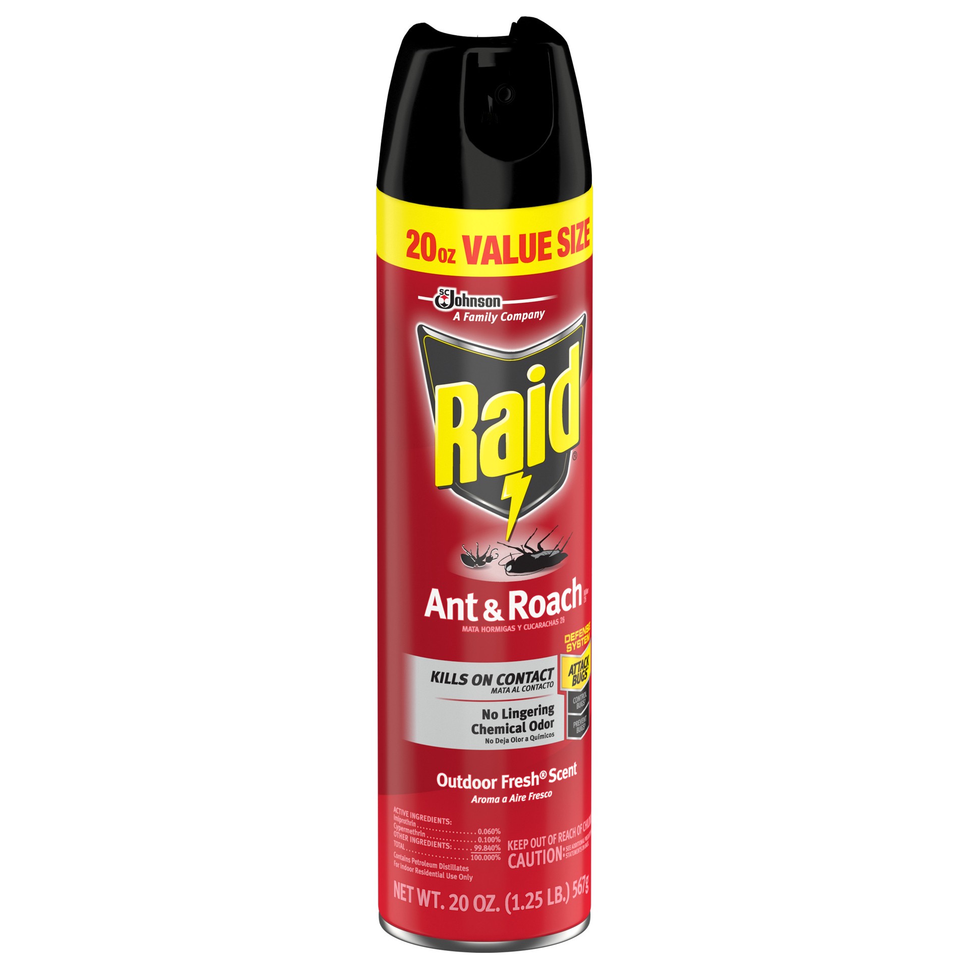 slide 2 of 5, Raid Ant & Roach Killer Outdoor Fresh Scent Insecticide Aerosol Can, 20 fl oz