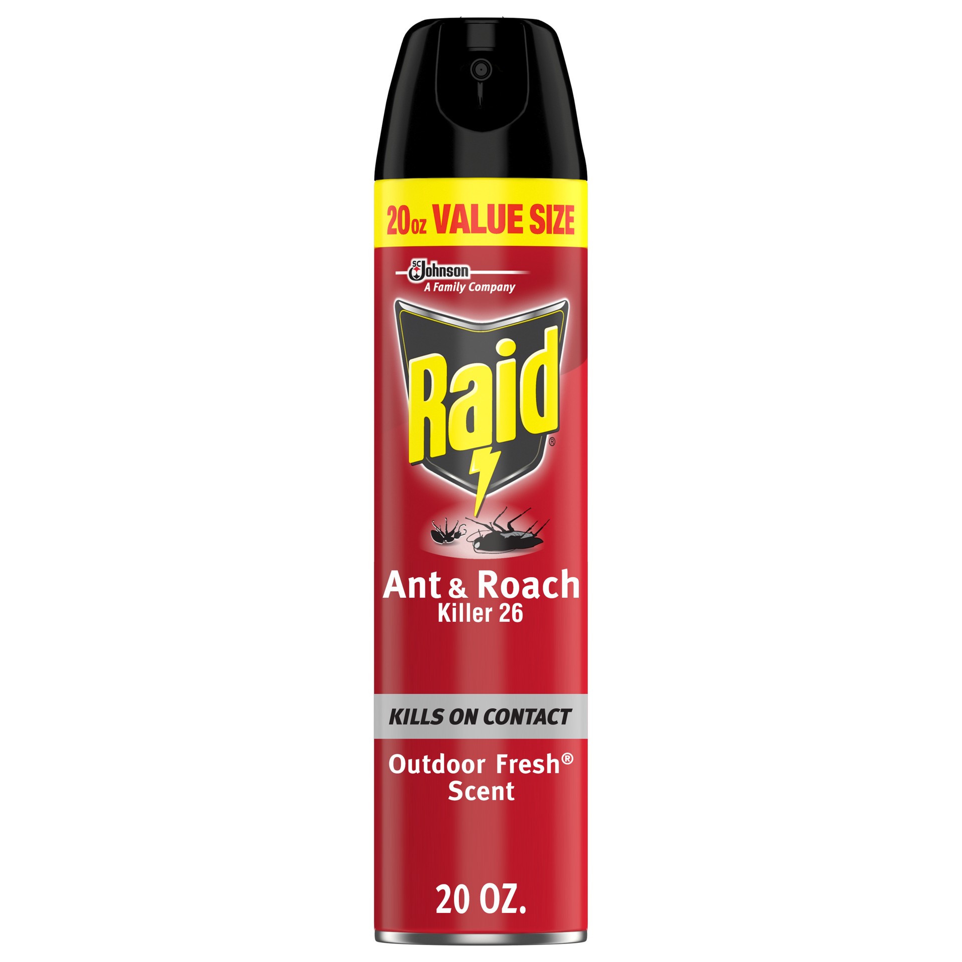 slide 3 of 5, Raid Ant & Roach Killer Outdoor Fresh Scent Insecticide Aerosol Can, 20 fl oz