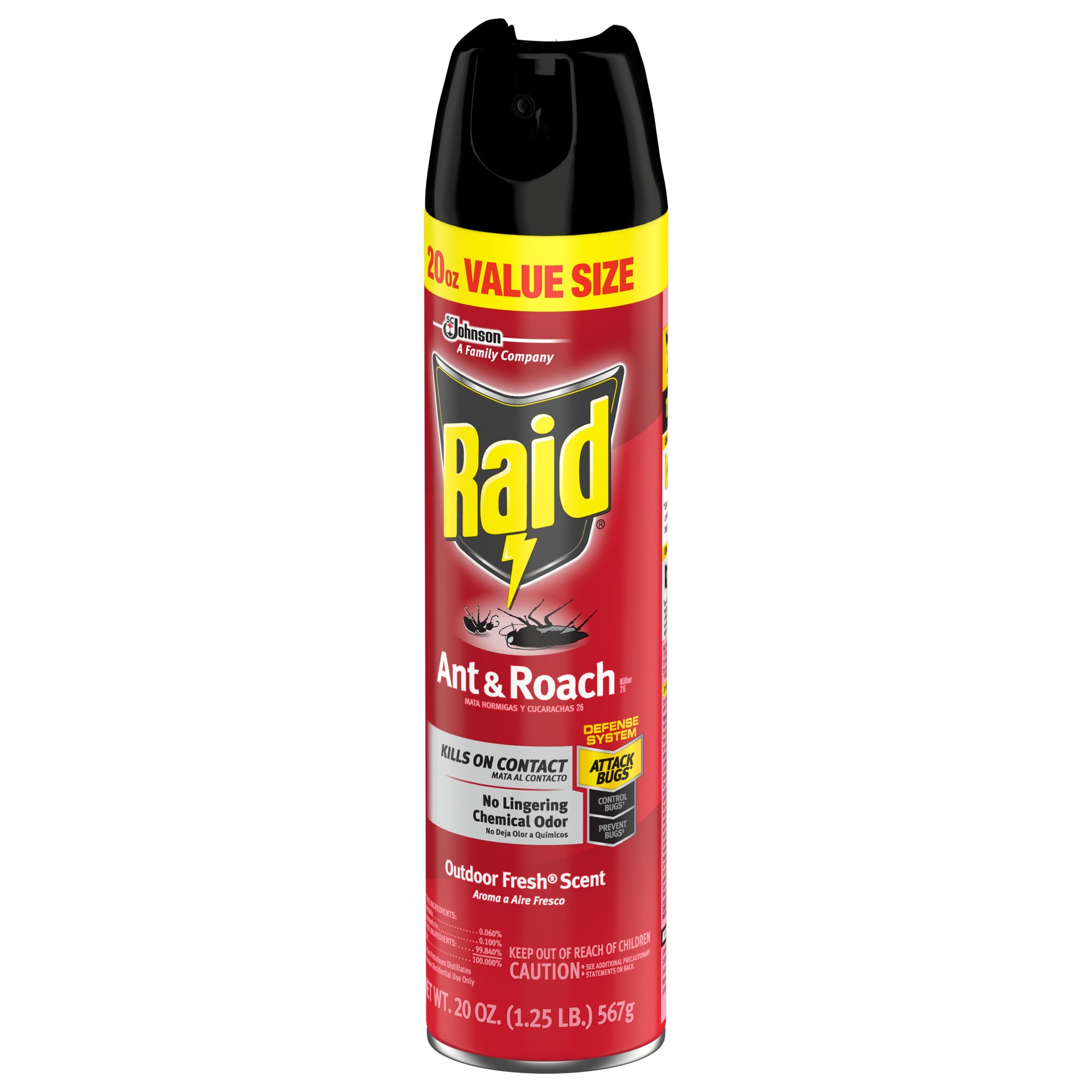 slide 5 of 5, Raid Ant & Roach Killer Outdoor Fresh Scent Insecticide Aerosol Can, 20 fl oz