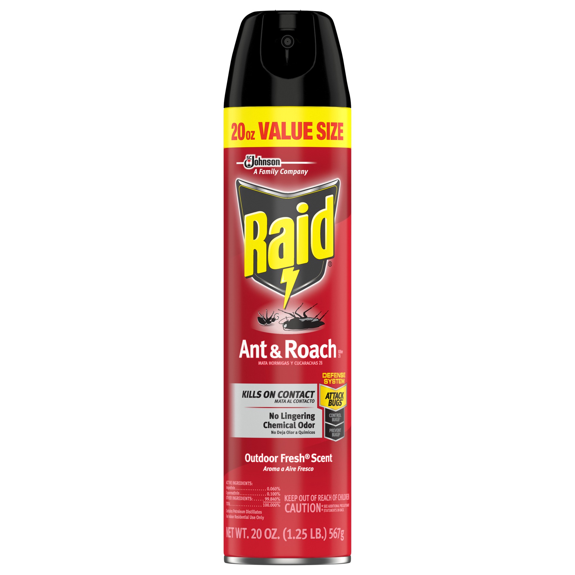 slide 1 of 5, Raid Ant & Roach Killer Outdoor Fresh Scent Insecticide Aerosol Can, 20 fl oz