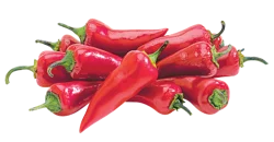Fresh Pepper Jalapeno Red