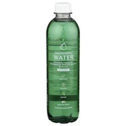 Chlorophyll Water - 16.9 fl oz