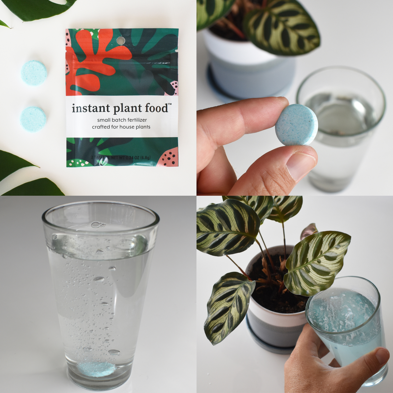 slide 2 of 4, Instant Plant Food (2Tablet) Houseplant Fertilizer, 2tablet